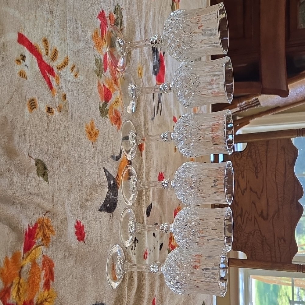 Elegant Crystal Wine Glass Set